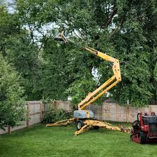 Best Commercial Tree Services  in La Blanca, TX